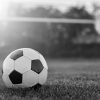 football on grass goalposts sun shining newcastle united nufc bw 1120 768x432 1