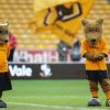 wolves mascots newcastle united nufc 800 768x432 1