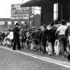 fans side of pitch roker park newcastle united nufc 1120 768x432 1