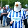 brighton fans seagull newcastle united nufc 1120 768x432 1