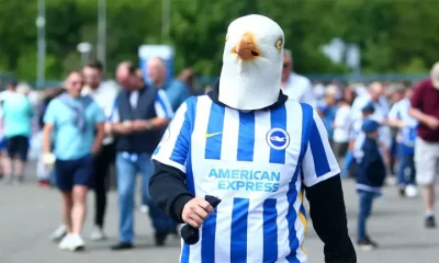 brighton fans seagull newcastle united nufc 1120 768x432 1