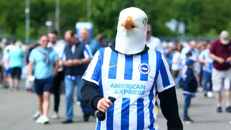 brighton fans seagull newcastle united nufc 1120 768x432 1