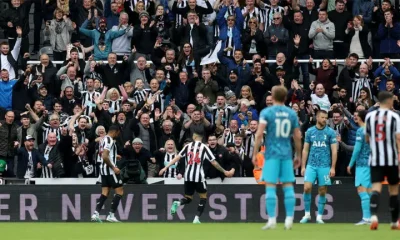 callum wilson goal celebration fans background spurs newcastle united nufc 1120 768x432 1